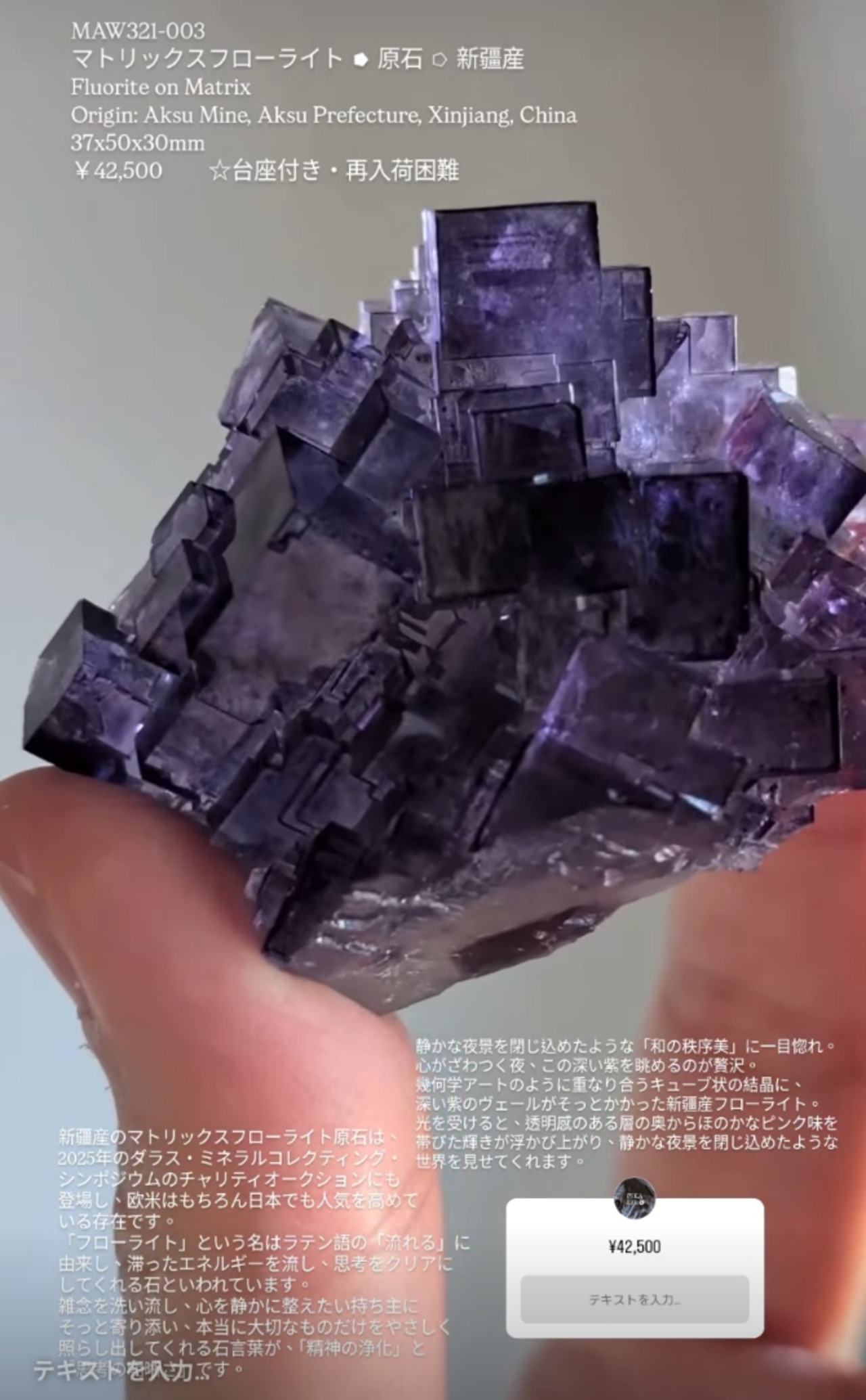 ⭔ お客様専用ページ ⭔  springfield_shona様　