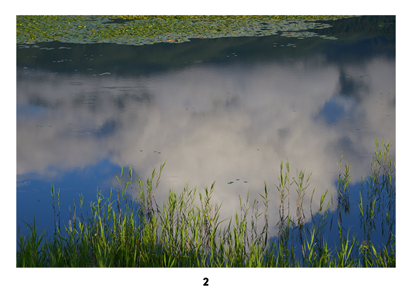 凪 NAGI A3キャンバスプリント 「夏日」ED10 直筆サイン入り 「夏日