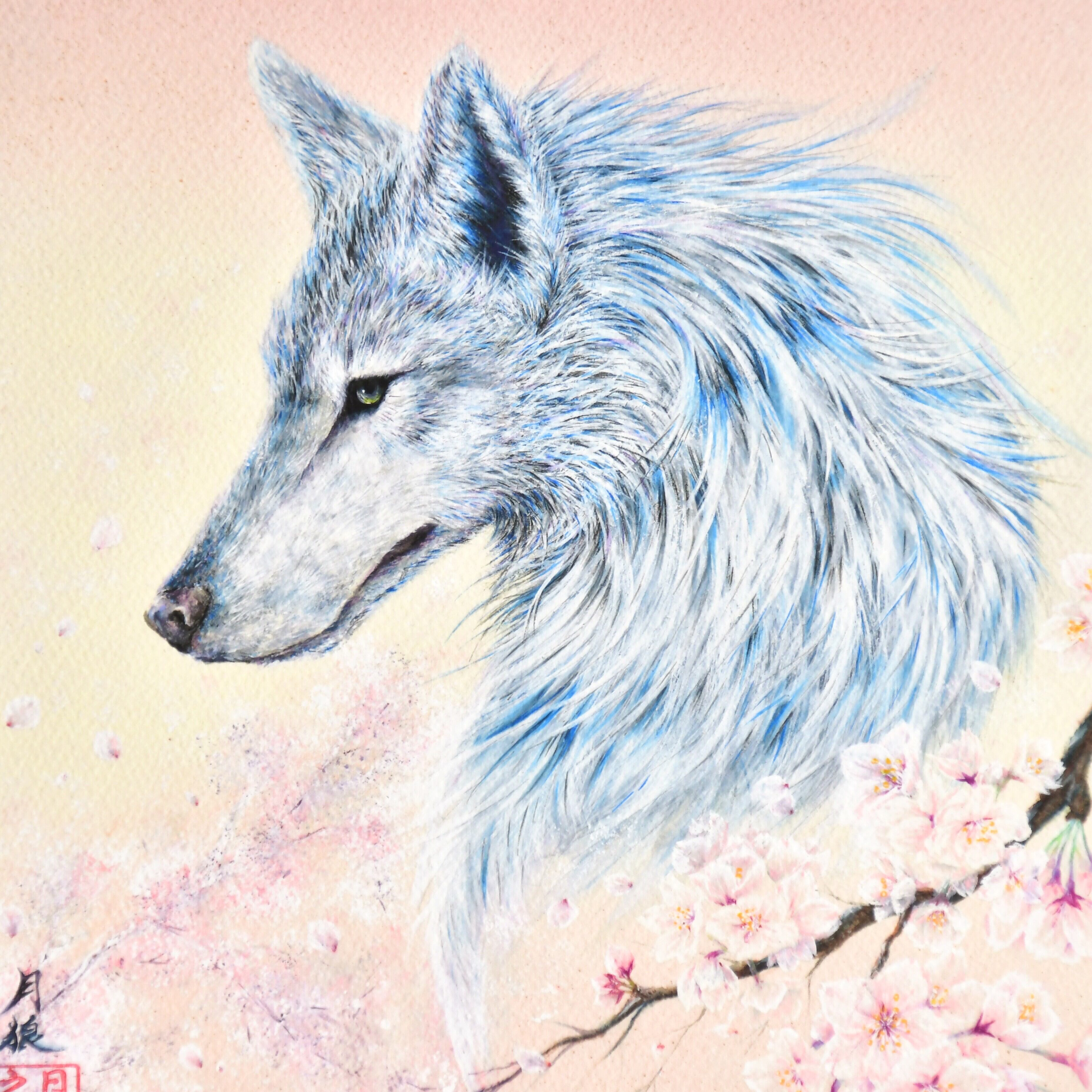 桜を纏うオオカミの絵画：[春愁] （額装なし） | PAY ID