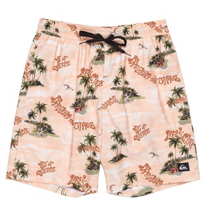 QUIKSILVER (ｸｲｯｸｼﾙﾊﾞｰ) - EVERYDAY STRAIGHT VL 19 (ｴﾌﾞﾘﾃﾞｲｽﾄﾚｯﾁﾎﾞﾚｰ19) QBS251001ﾒﾝｽﾞ