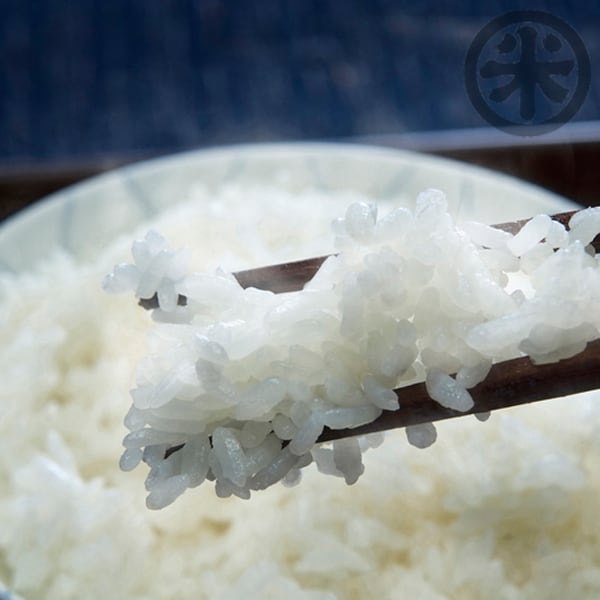 有機栽培米　新潟米　JAS認証　越後米蔵商店　令和4年産]新潟産コシヒカリ　5kg