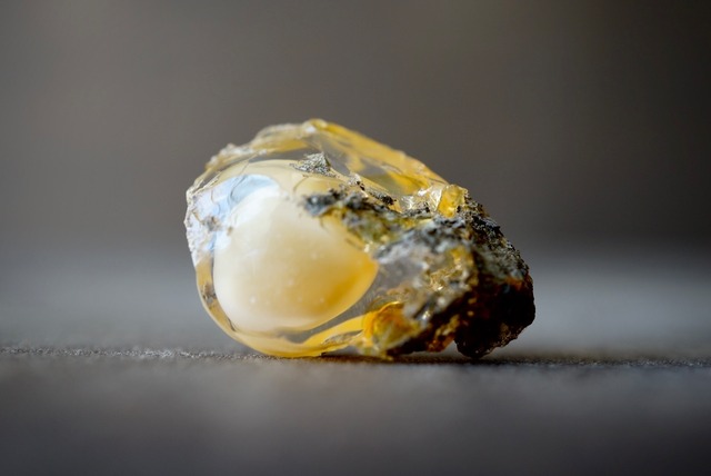 エッグ・イン・オパール Opal Egg 1084