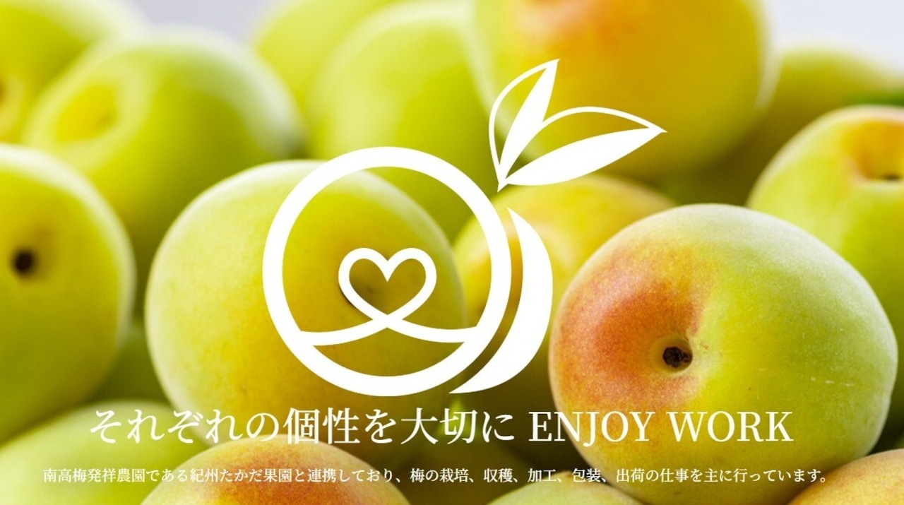 南高梅の会 有機JAS認証徳用梅干セット・画像5