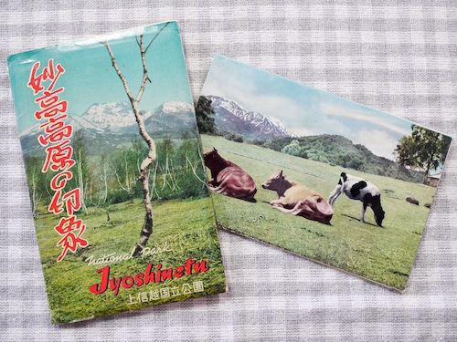 【Vintage品】日本の絵葉書セット 「妙高高原の印象」G
