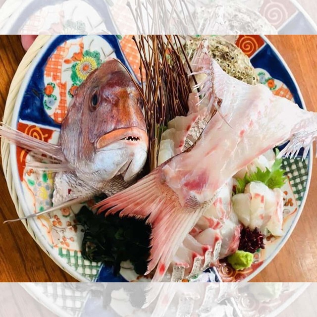加太の天然真鯛 姿づくりセット【食材のみ】