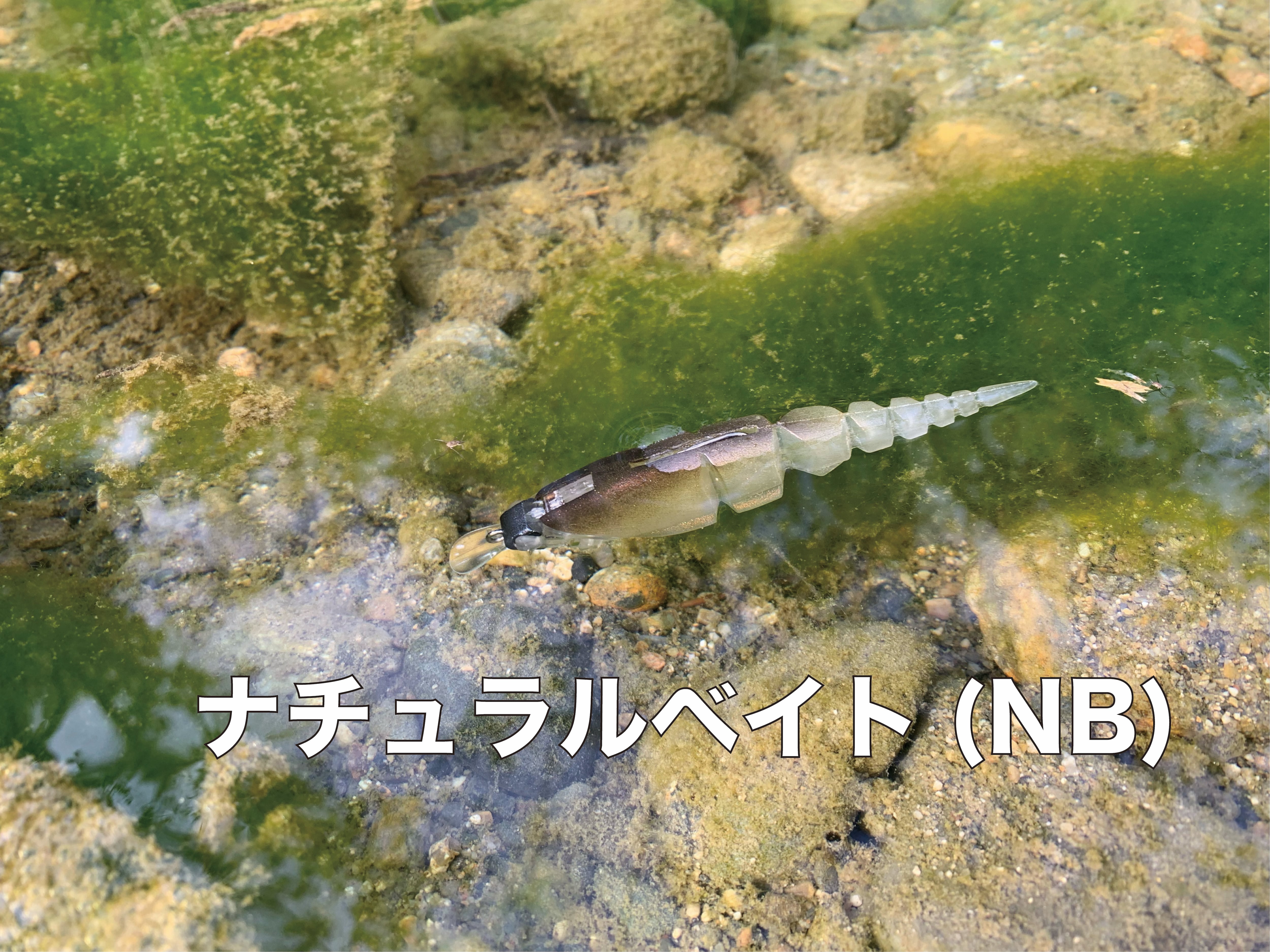 β-MINNOW | TTT