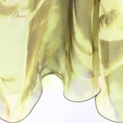 社交ダンス 衣装 スタンダード スカート レッスンウェア レディース グリーン系 緑 黄緑 練習着 フォーマル ステージ衣装 かわいい 二重スカート フレアスカート ライトグリーン系 くすみグリーン系 光沢 ポリエステル