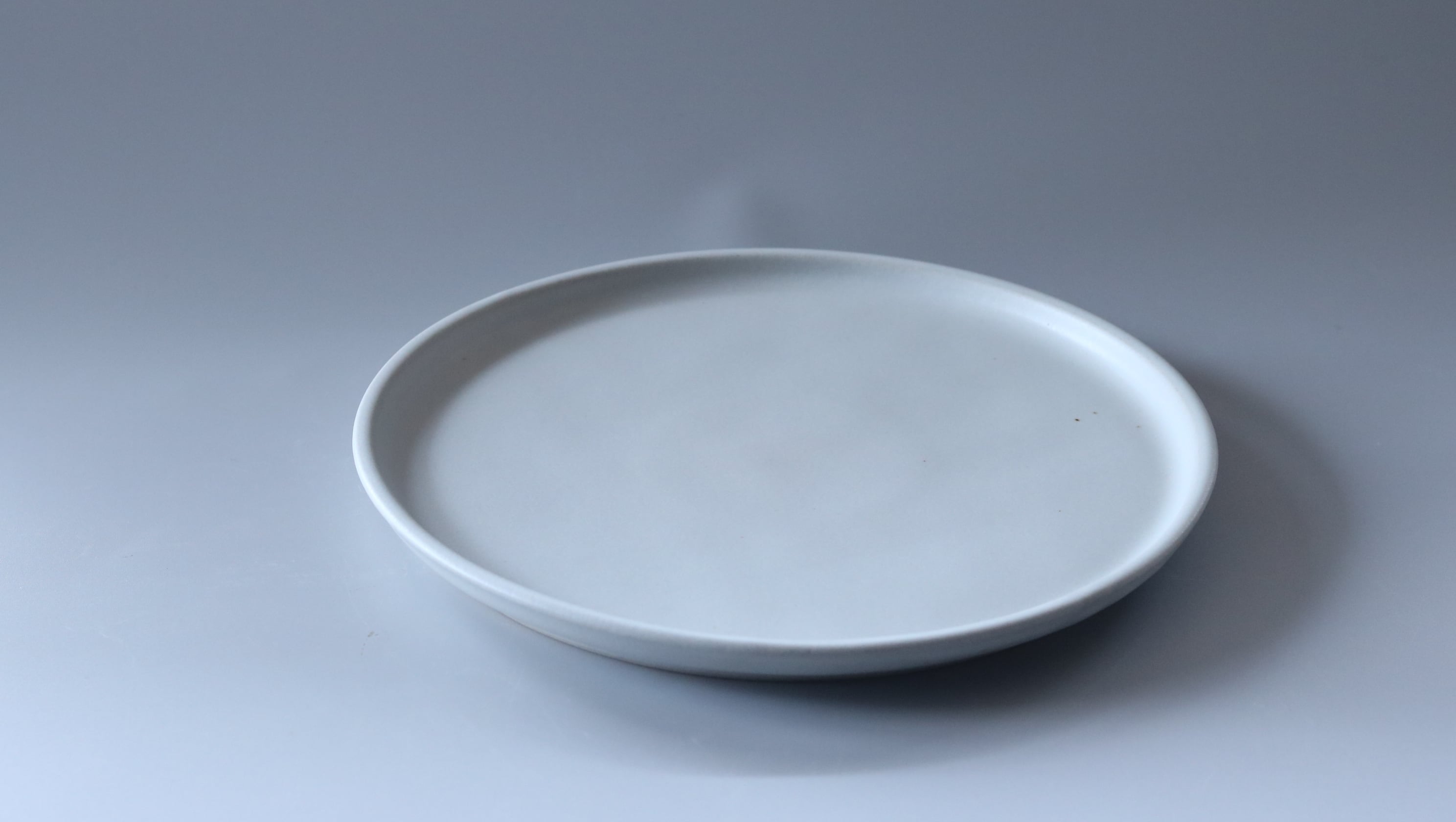 丸プレート 大 白