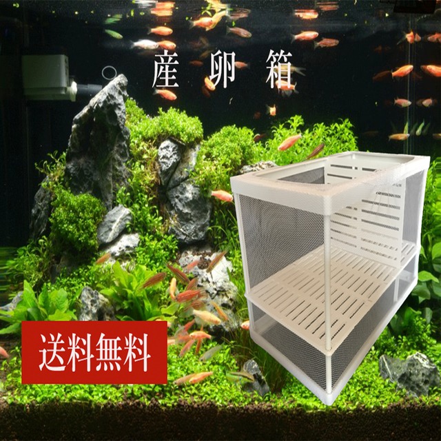 魚 稚魚 シェルター 養殖 避難所 組み立て式 カニ 亀 魚 海 川 淡水 海水 Dreamisland 魚 稚魚 シェルター 養殖 避難所 組み立て式 カニ 亀 魚 海 川 淡水 海水 Dreamisland