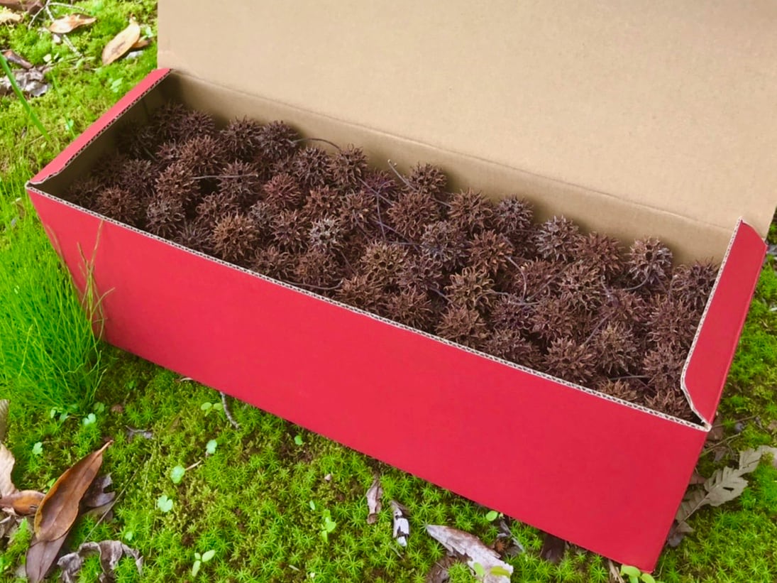 7c6e5fe12227dde9f05154314d9ad0