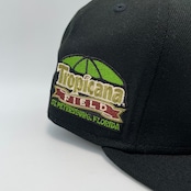 NEW ERA 59FIFTY/5950 タンパベイ・レイズ【海外商品】