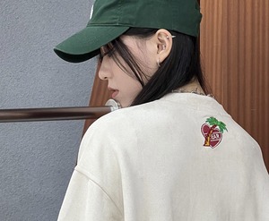 【韓国ファッション】スプリングコート春秋服 セーター トレーナー