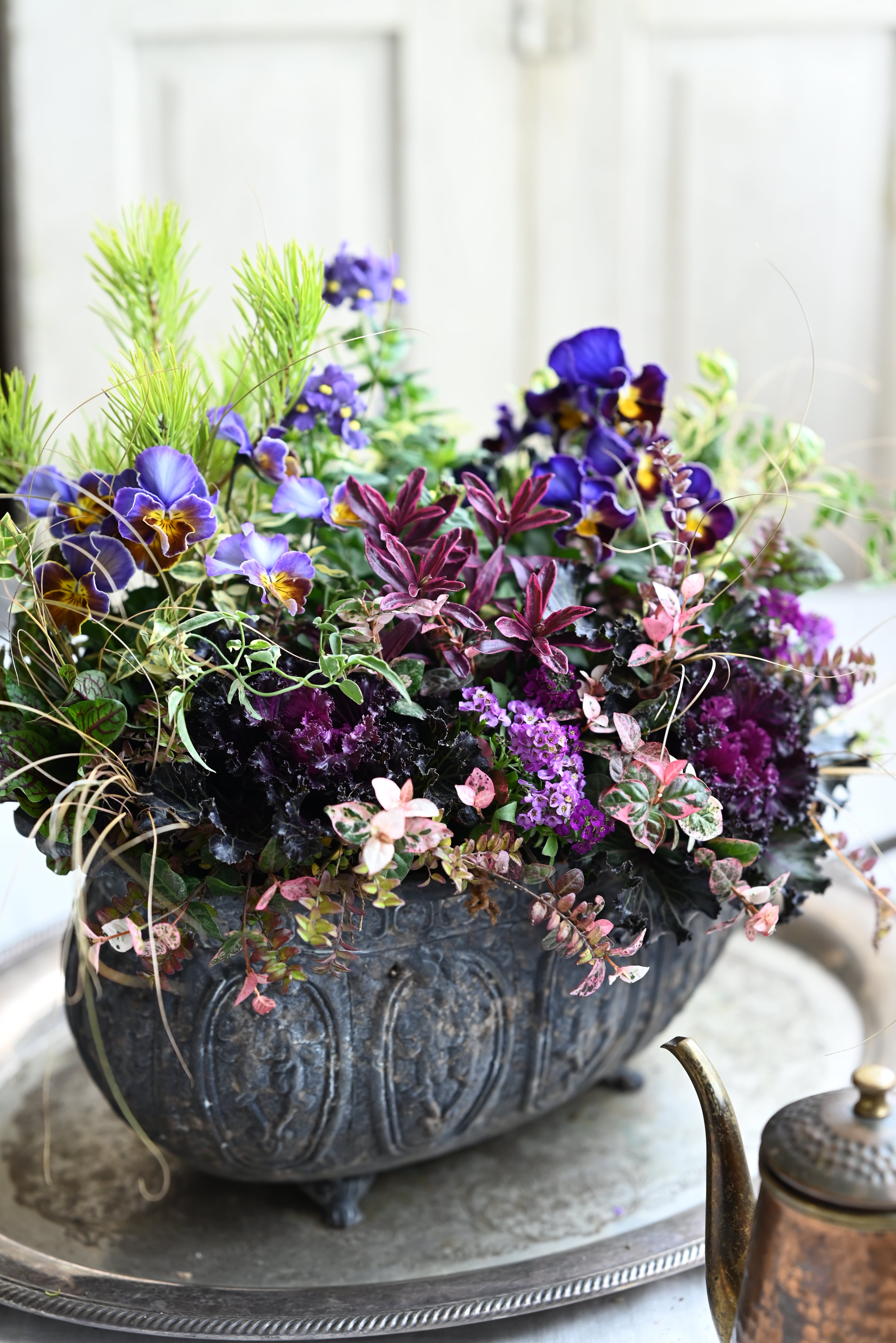 【SALE】ビオラ「フレアブルー」とブラックハボタンのゴシック調ギャザリング鉢