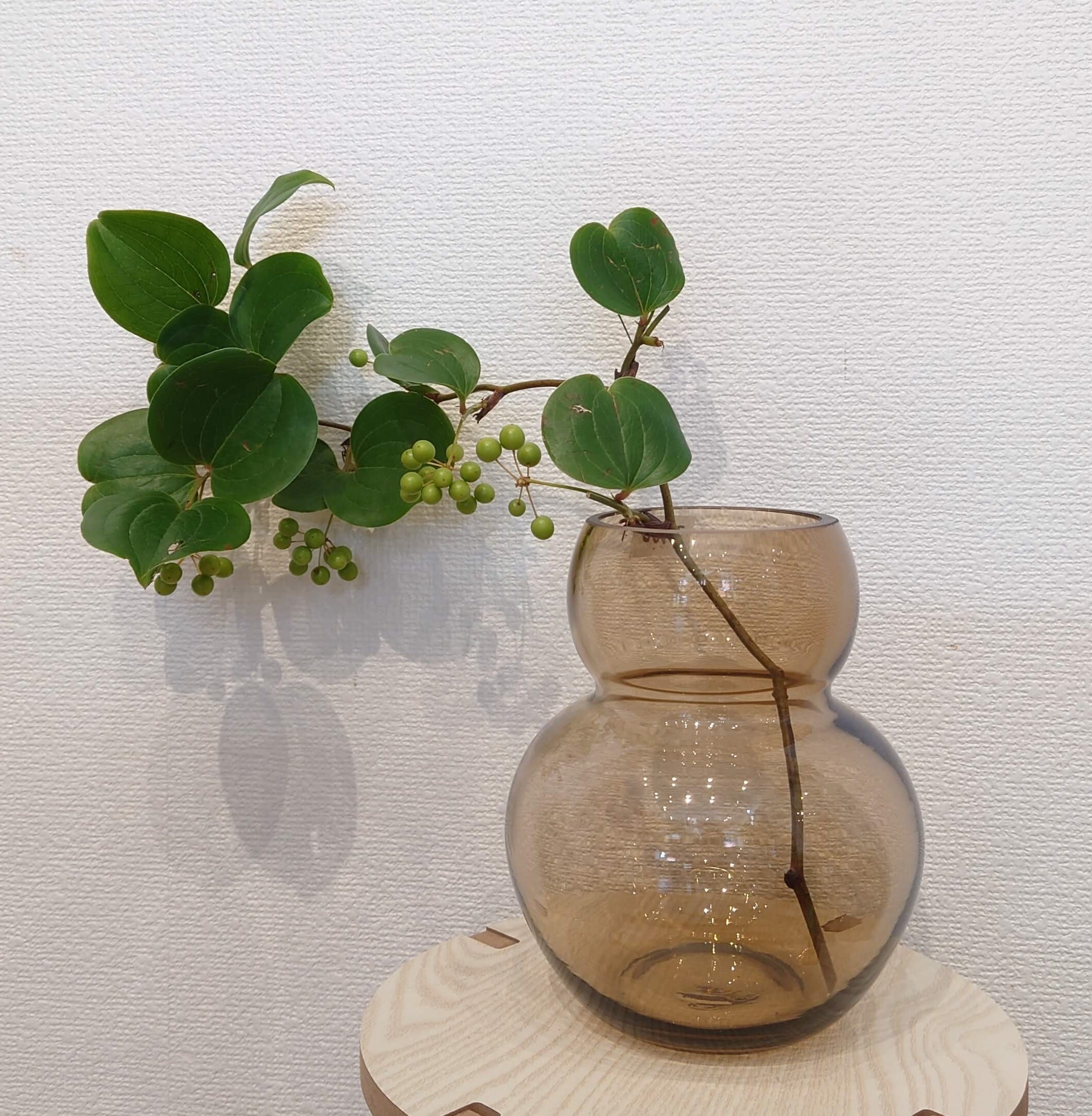 花瓶・ひょうたん型 | PLANTSHUSET
