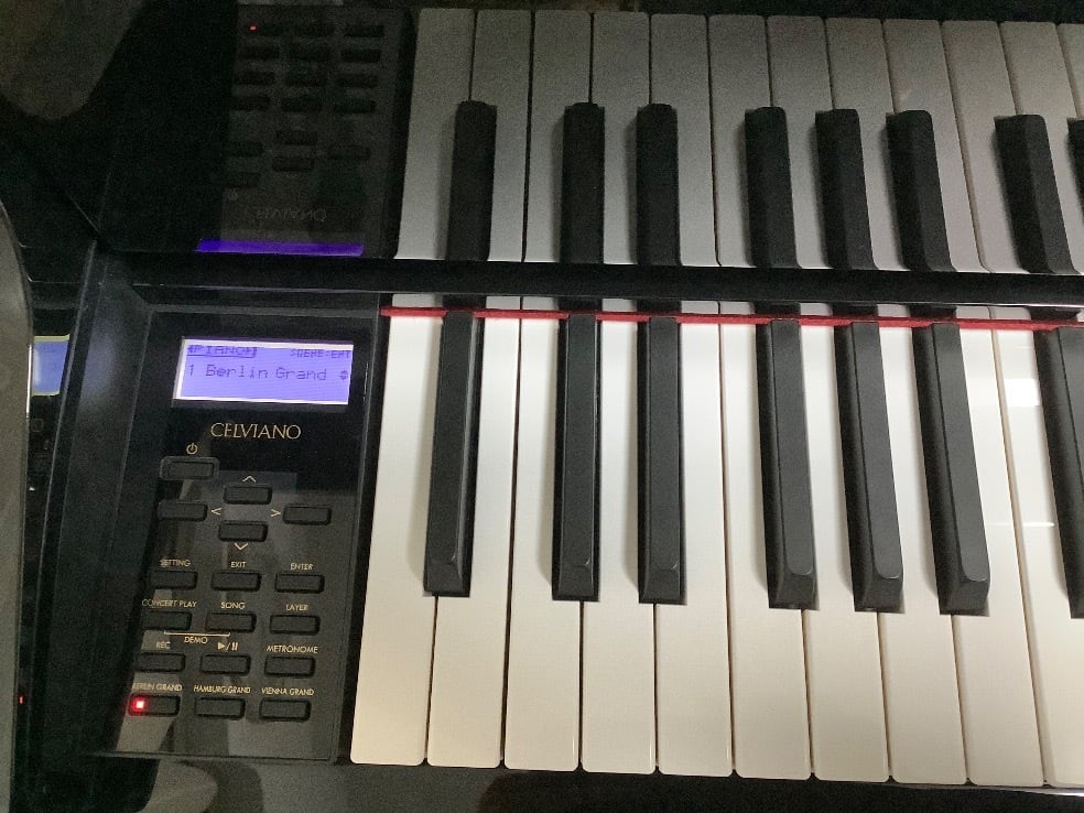 CASIO GP500BP 18年製 【公式通販】