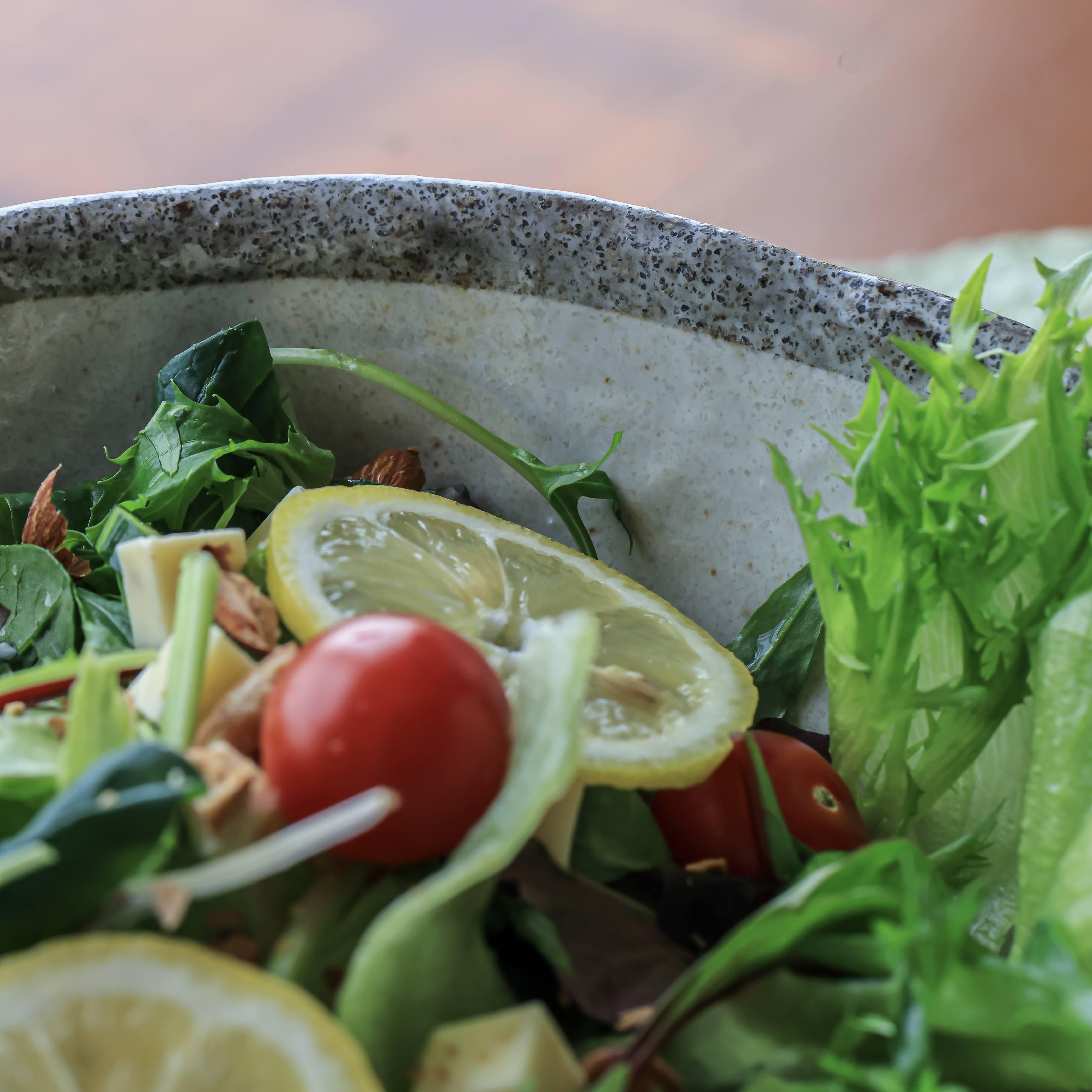 盛り器　サラダボール サラダボール（PC製） - オンラインショップ“イイネ”