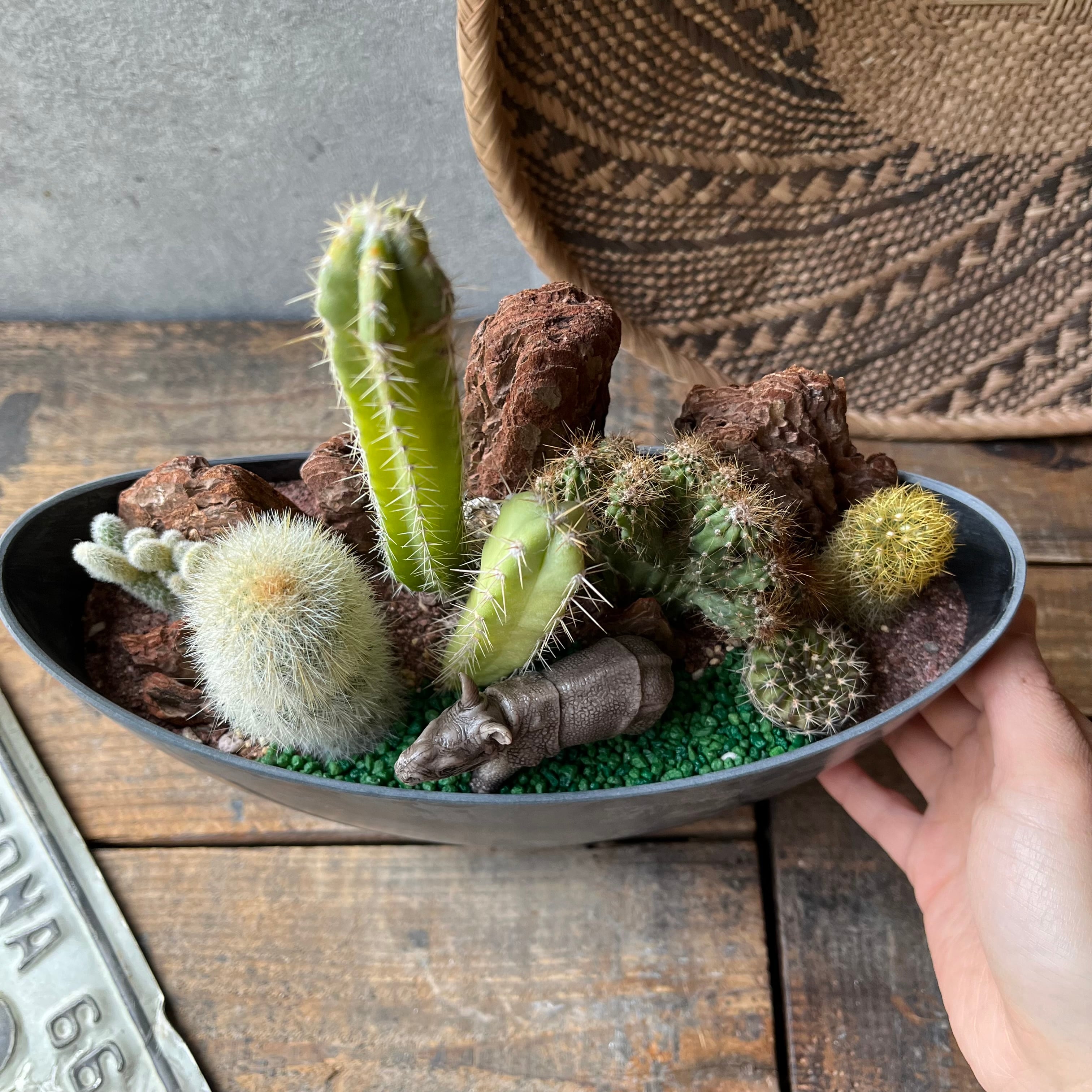 Rhinoceros Kids サイ | SABOTEN MISSILE