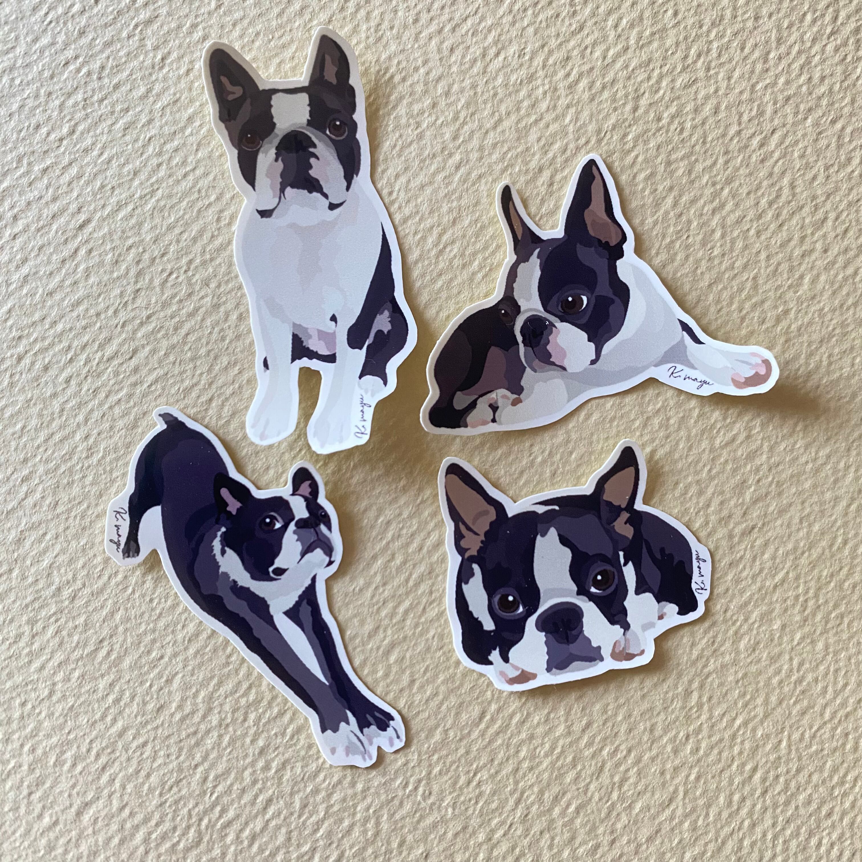 【ボストンテリア】　犬　アクリル画　A4サイズ額装付き　BAEZ3 インテリア イリュージョン ボストンテリア | BAEZ3