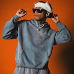 OG SMALL LOGO PIGMENT HOODIE