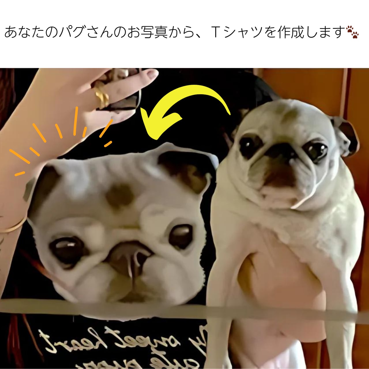 パグちゃん(即購入可即日発送) パグちゃん様 専用 パグちゃん様専用 パグ