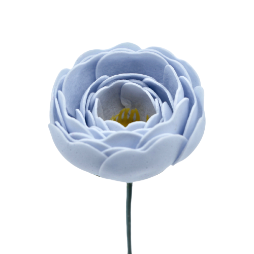 ラナンキュラスN-BL1 セルリアンブルー (15輪入りor25輪入り)