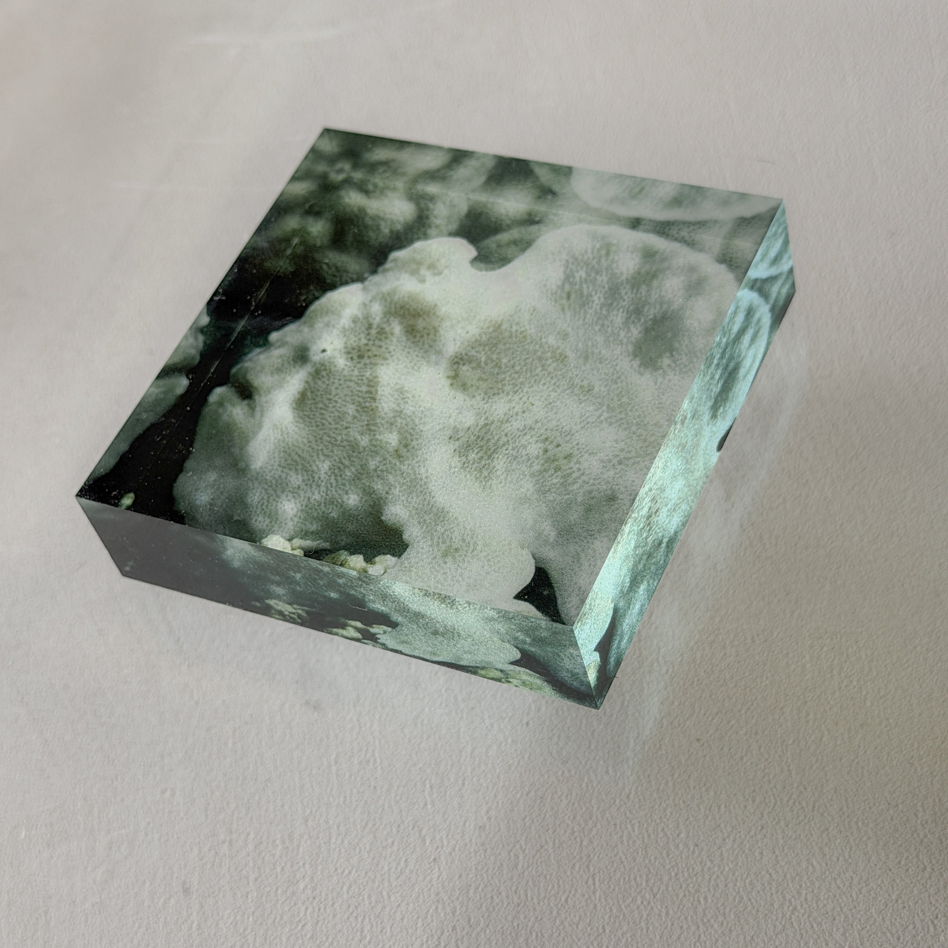 VIEW ALL PRODUCTS | TSUKIHOSHIHI