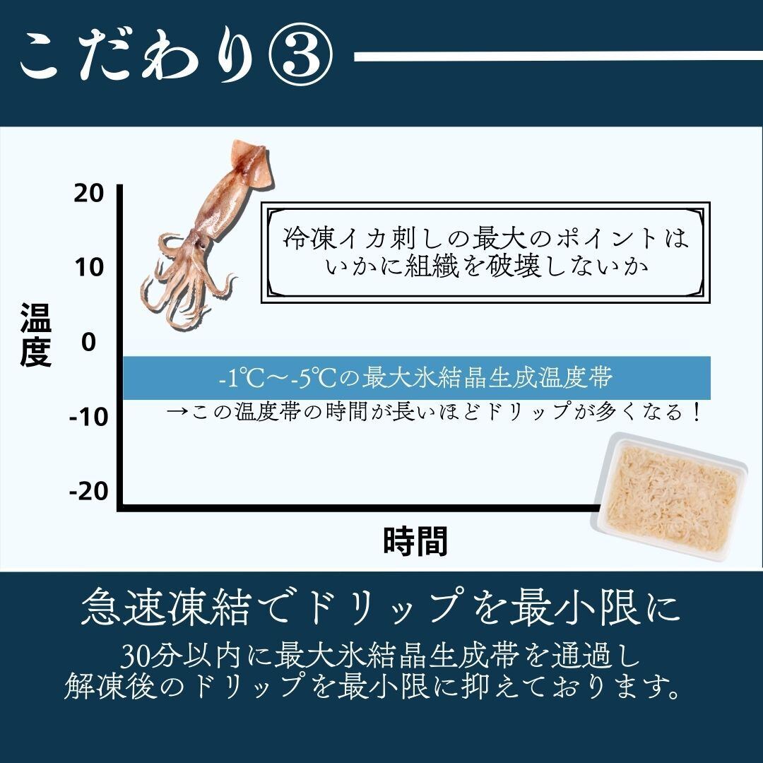 潮の流れ 色紙 カニ イカ(二枚入り) 例年大人気！今年のカニもやっぱり絶品！ご自宅で楽しむ本ズワイガニ
