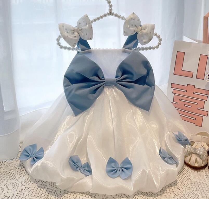 《予約》3101434 ドロシーブルーレースドレス