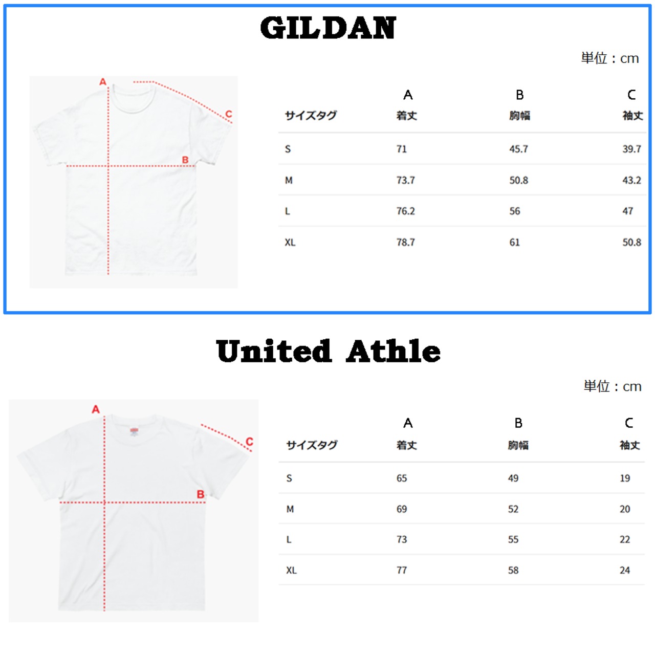 ヒマワリ (GILDAN) - 6