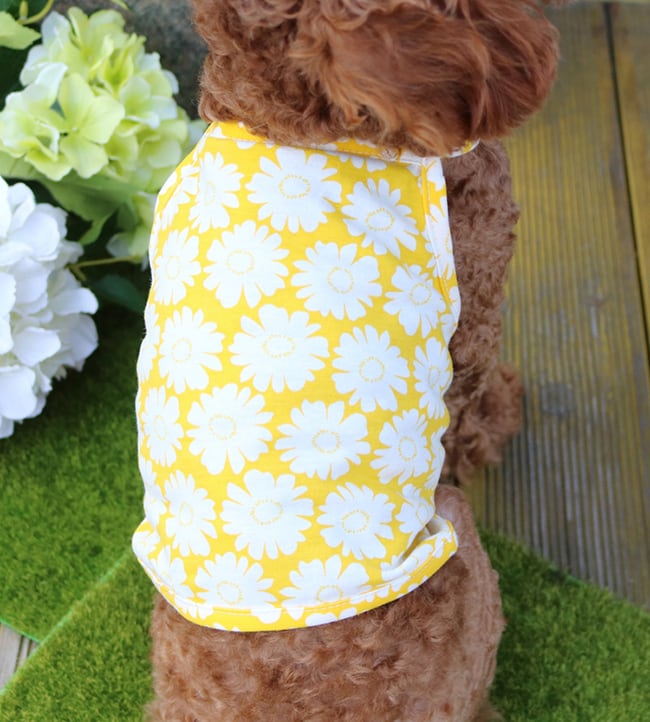 【SALE】 big flower crop top S ~ XL 3color / 犬服 春夏 新作 ショート丈 クロップドトップス 涼しい 可愛い 犬の服 タンクトップ ドッグウェア ペット わんこ服 top82