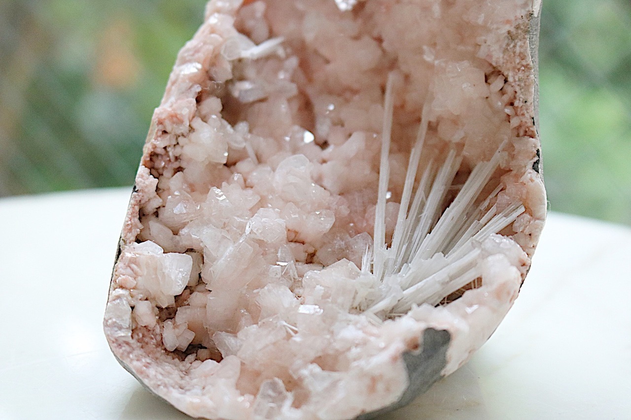 日常の人気者キャラ