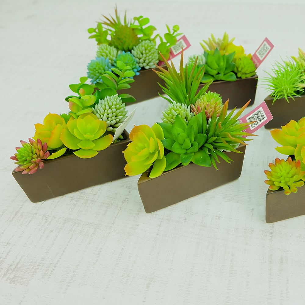 アートフラワーギフト！『ミニアレンジ』多肉植物・ケーキカップ