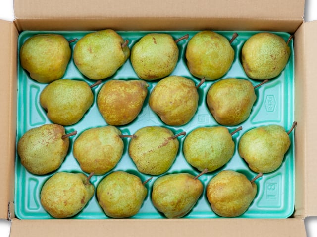 ラ・フランス ラフランス 約5kg 洋ナシ 西洋なし | 信州中野 荻原農園