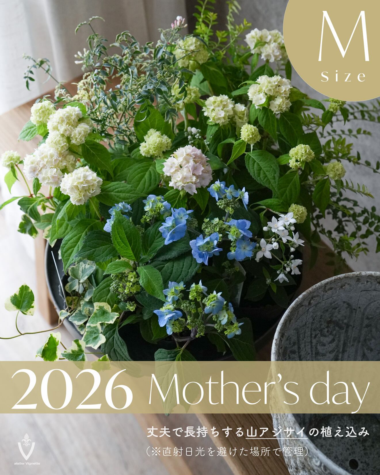 多肉植物 のリース Φ25cm 【寄せ植え】 | アトリエ ヴィネット（花苗