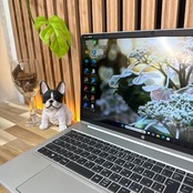 \ 公式ショップ限定価格❣️/ 極美品《2022年モデル》HP ProBook 450 G9 Core i5 第12世代 SSD256GB ノートパソコン 安心サポート&3ヶ月保証付き