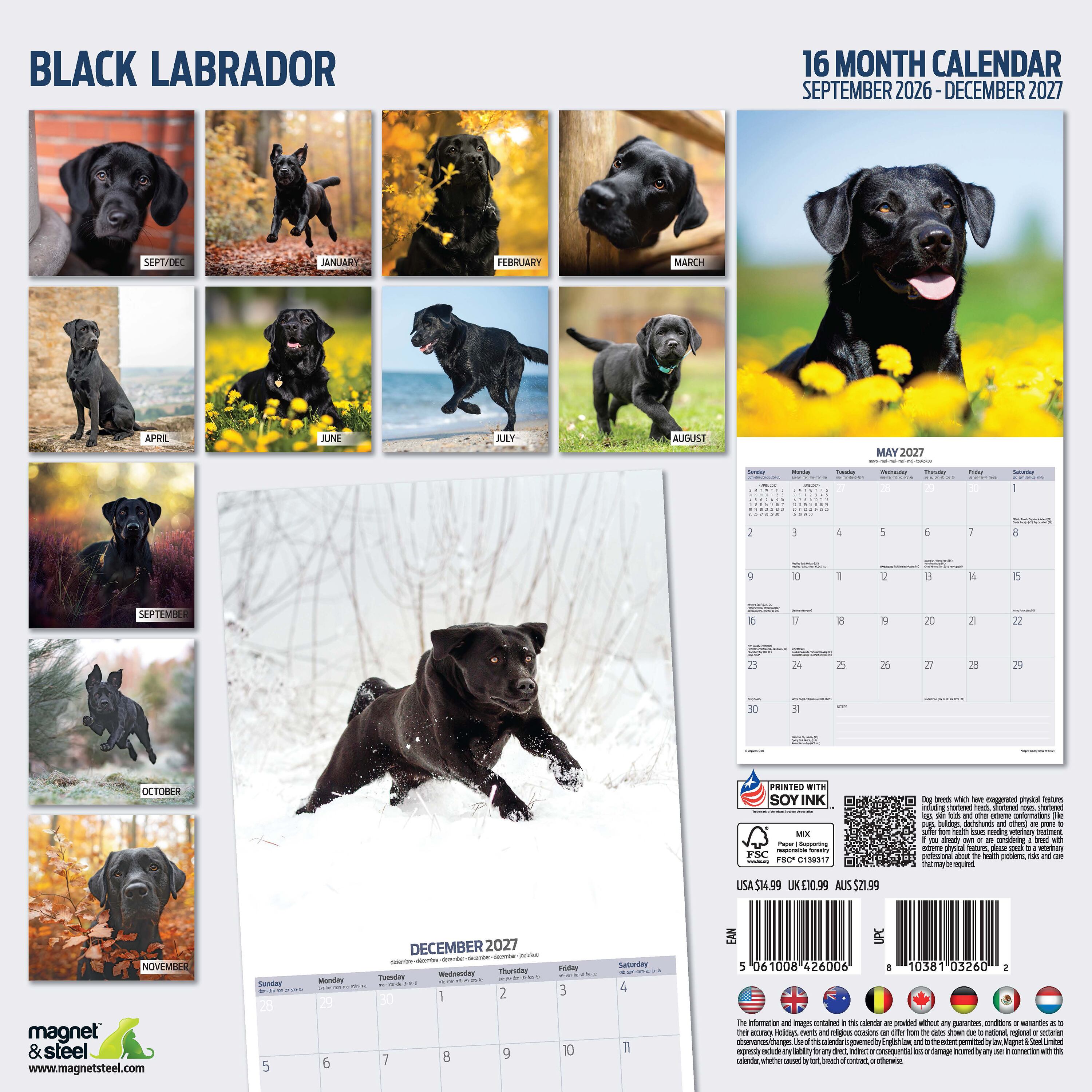【2027年版】英国製犬種カレンダー【ブラック・ラブラドール】Traditional 2027年版