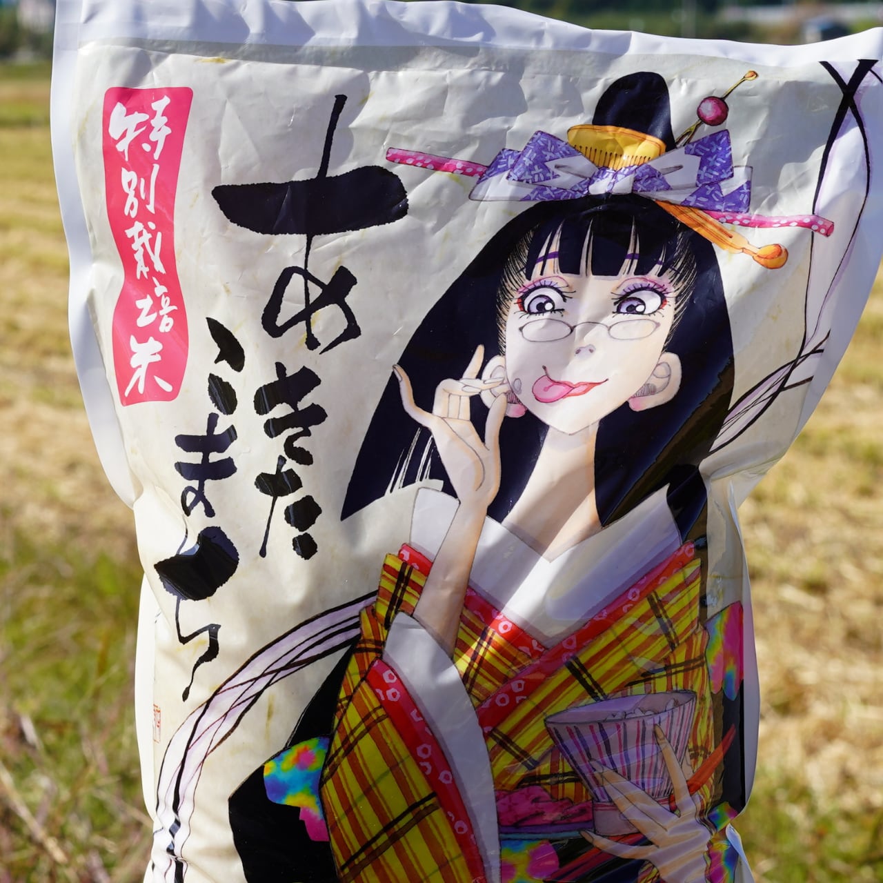 自転車 エキサイティングビヨンビヨントランポリンサスペンション Kowa