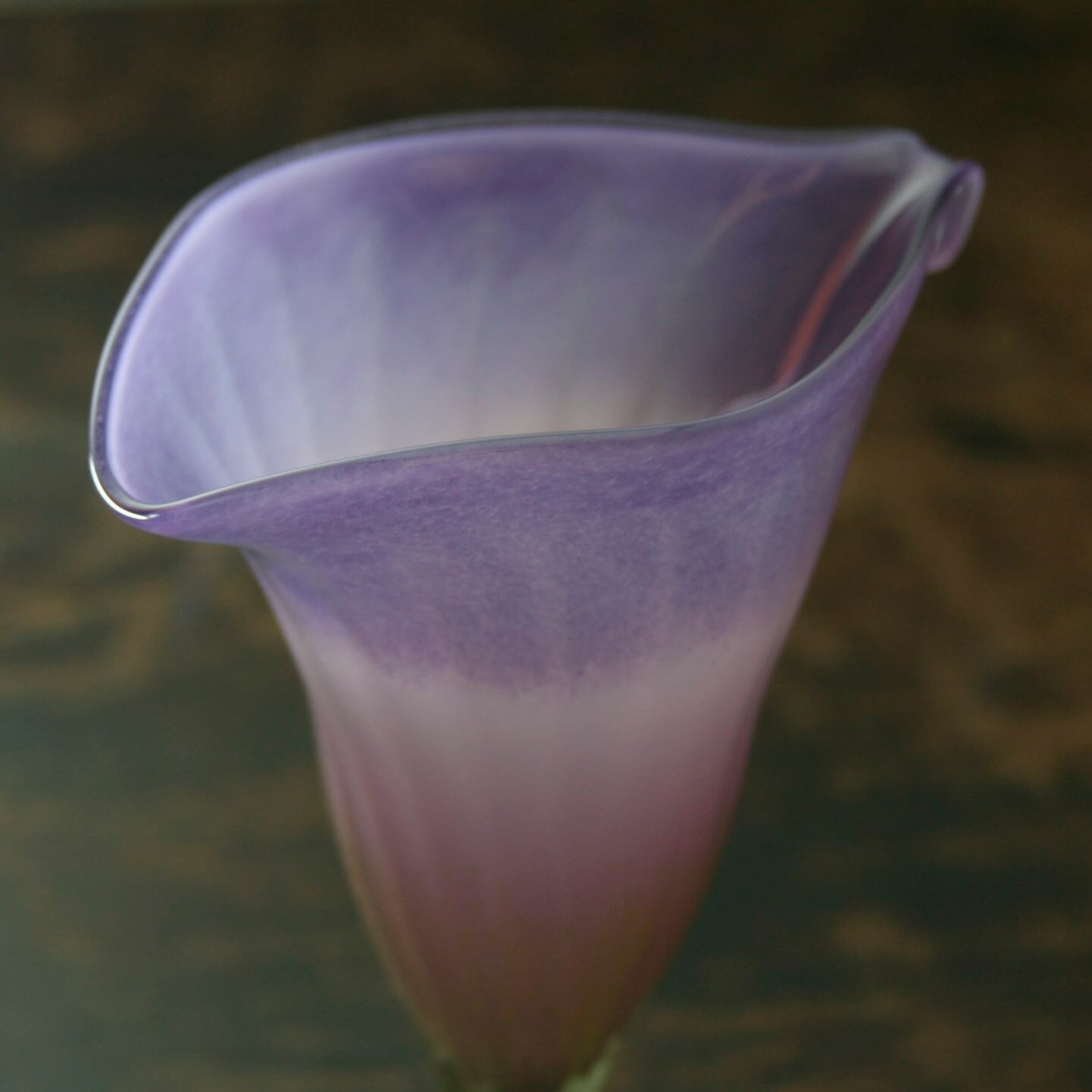 【’24春】Calla lily シャンパングラス カラーのお花 パープル(200 cc)