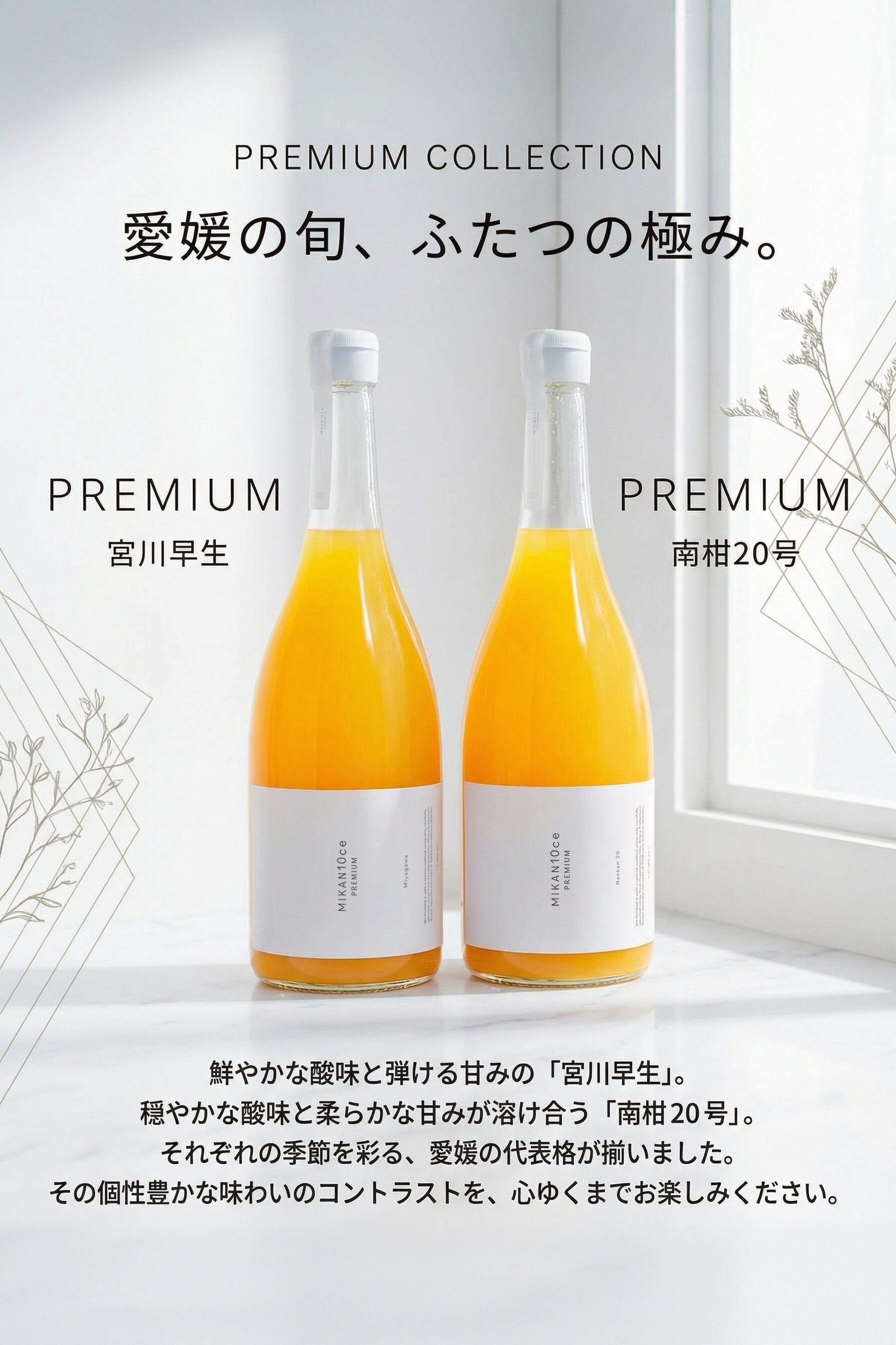 オキナワノコワイハナシ 1～6巻 2013～2017巻セット 赤白ワイン フルボトルセット | 天橋立ワイナリー