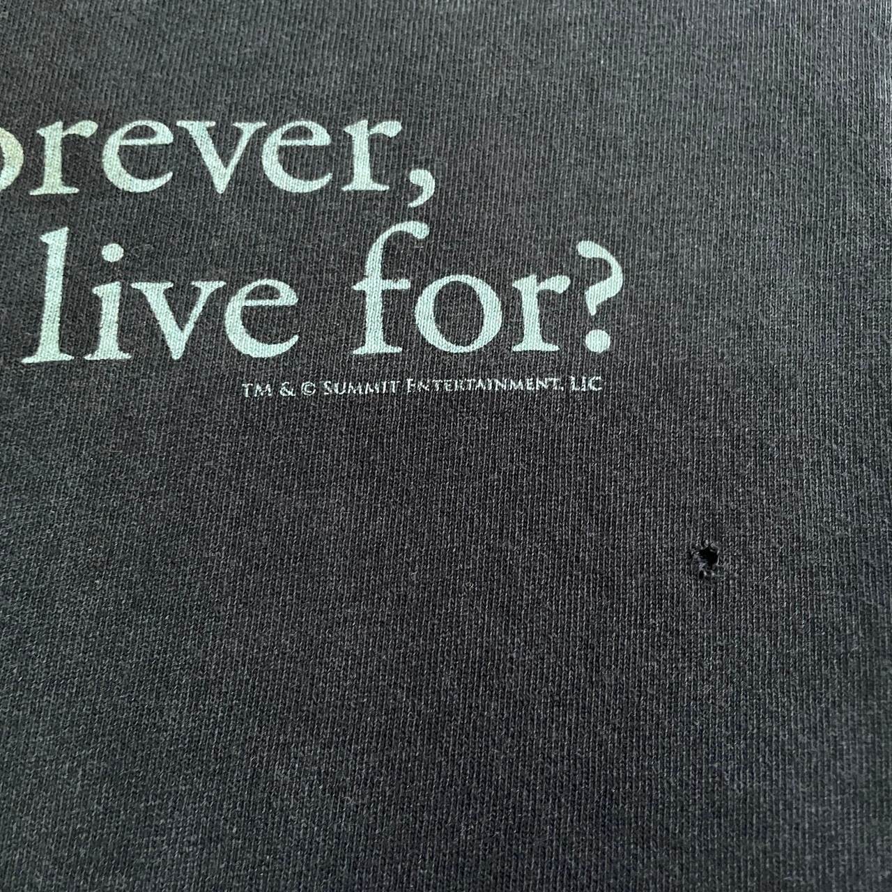 00年代 twilight トワイライト ムービー プリントTシャツ メンズXL相当 