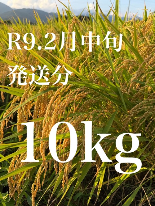【予約販売R9.2月中旬発送】令和8年佐渡産コシヒカリ　10㎏ 画像