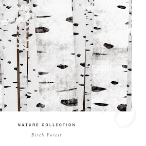 アートポスター / Birch forest No.4　eb216