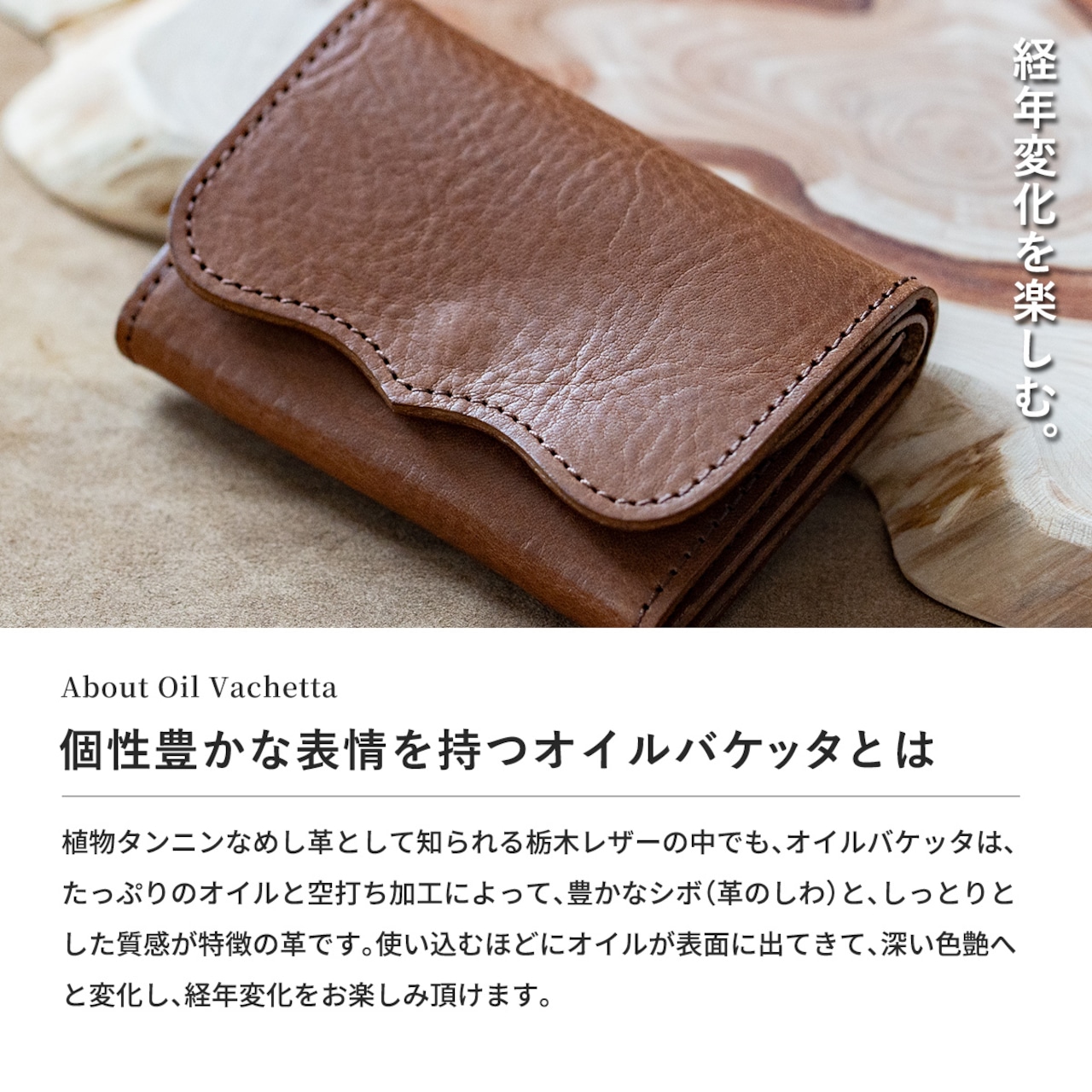 カードケース プレート3 オイルバケッタ