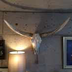 STEER HEAD(DULTONダルトン)