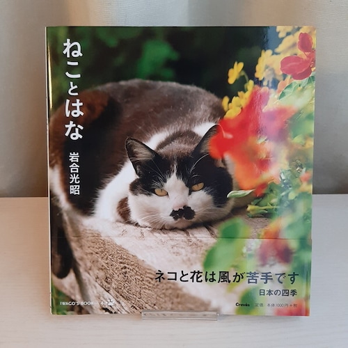 （古本）ねことはな