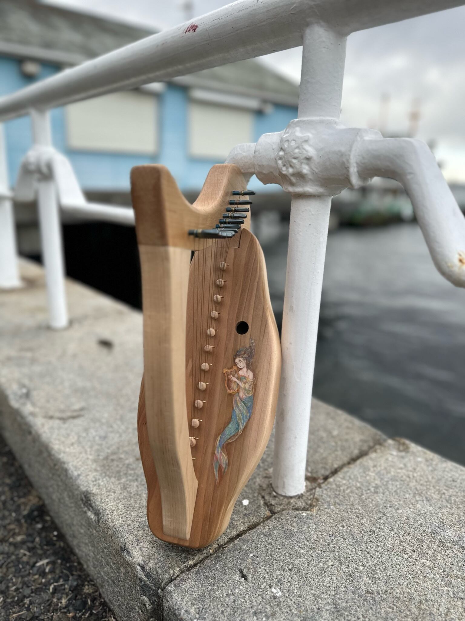 ハープの曲集【新品】 PDF版『12弦ハープのための24の曲集』第3巻 寺本圭佑編著