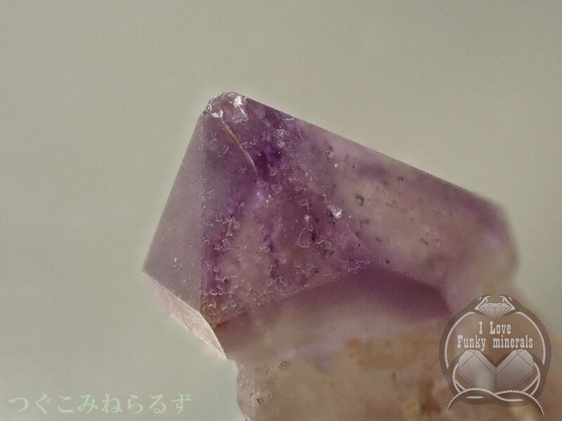 アメジスト アメシスト 紫水晶 韓国 TM-014 | つぐこみねらるず ｜鉱物