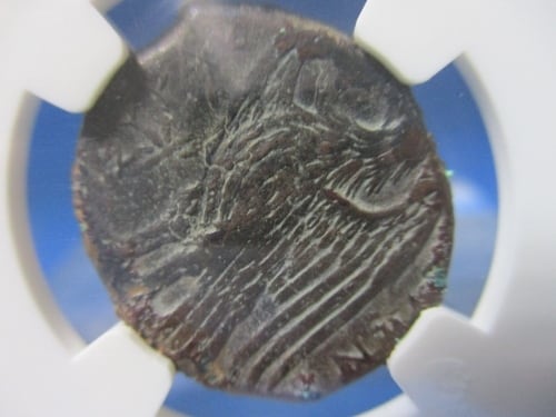 古代ギリシャ ヒケタス銅貨☆紀元前288～279年／美品／ゼウスと鷲