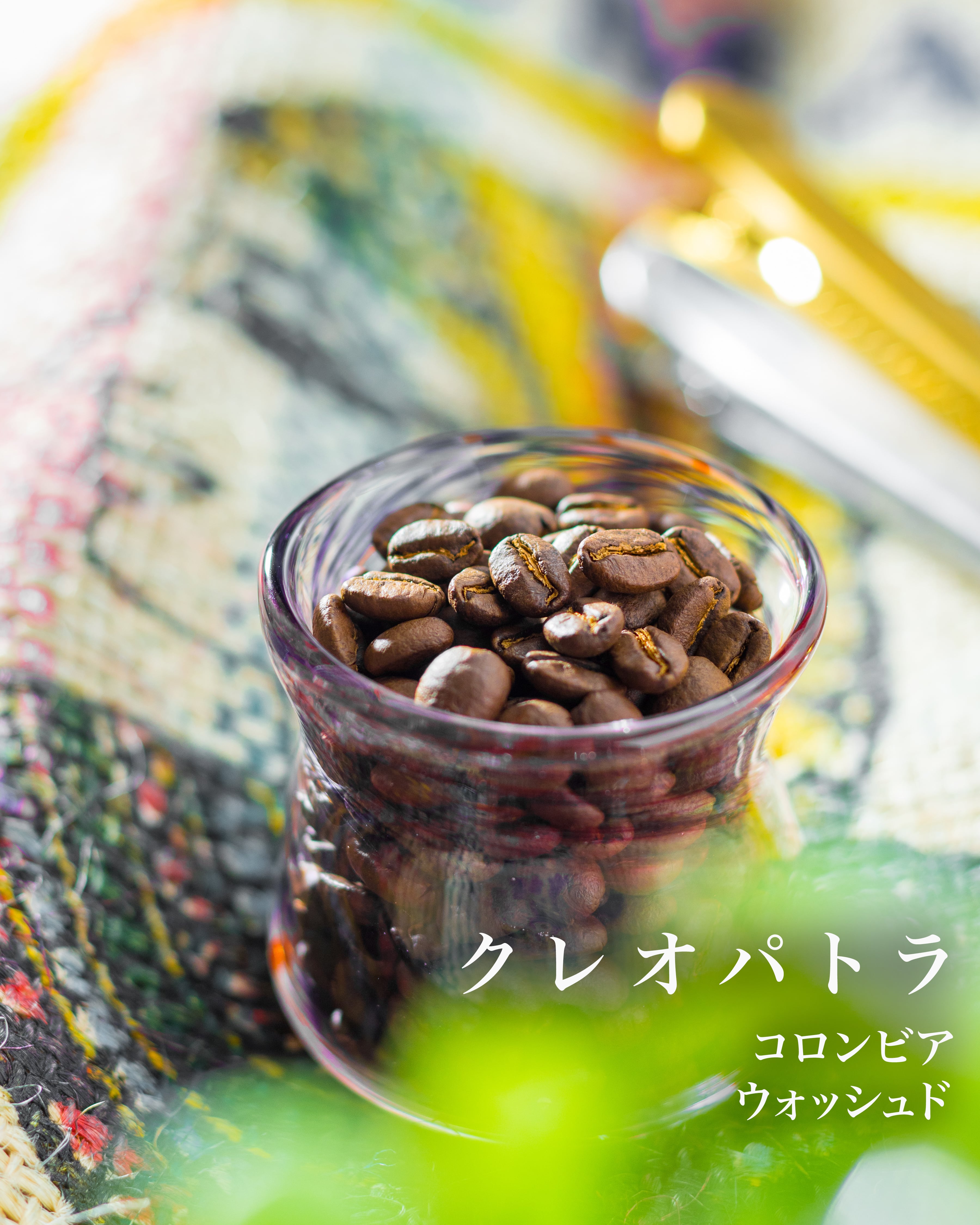 コロンビア クレオパトラ 200g | IKENOHATA COFFEE ROASTERY