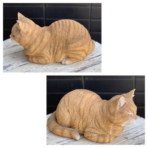 眠り猫　茶トラ